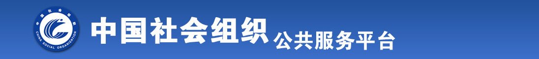 两个鸡巴操一个小嫩逼网址全国社会组织信息查询